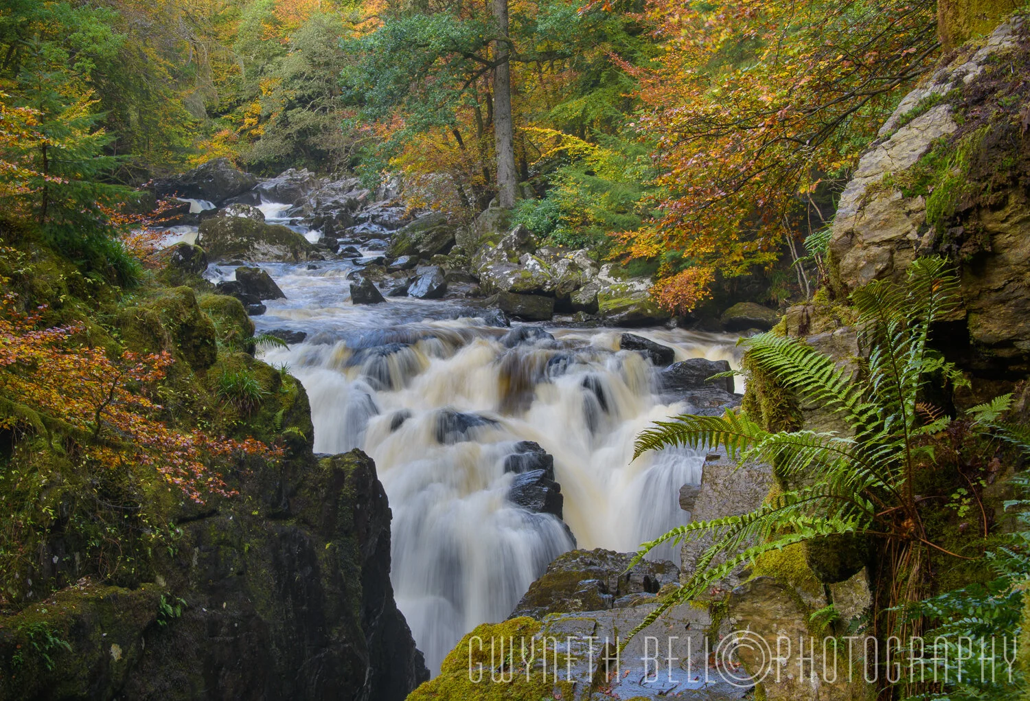 The Hermitage, Perthshire