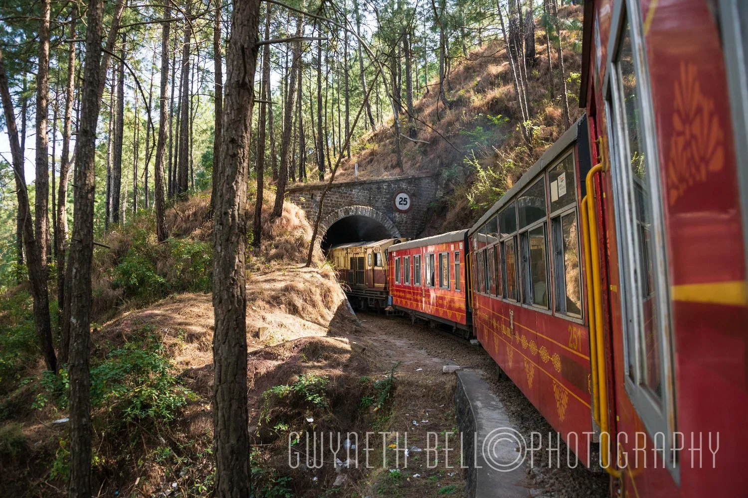 Toy Train to Shimla