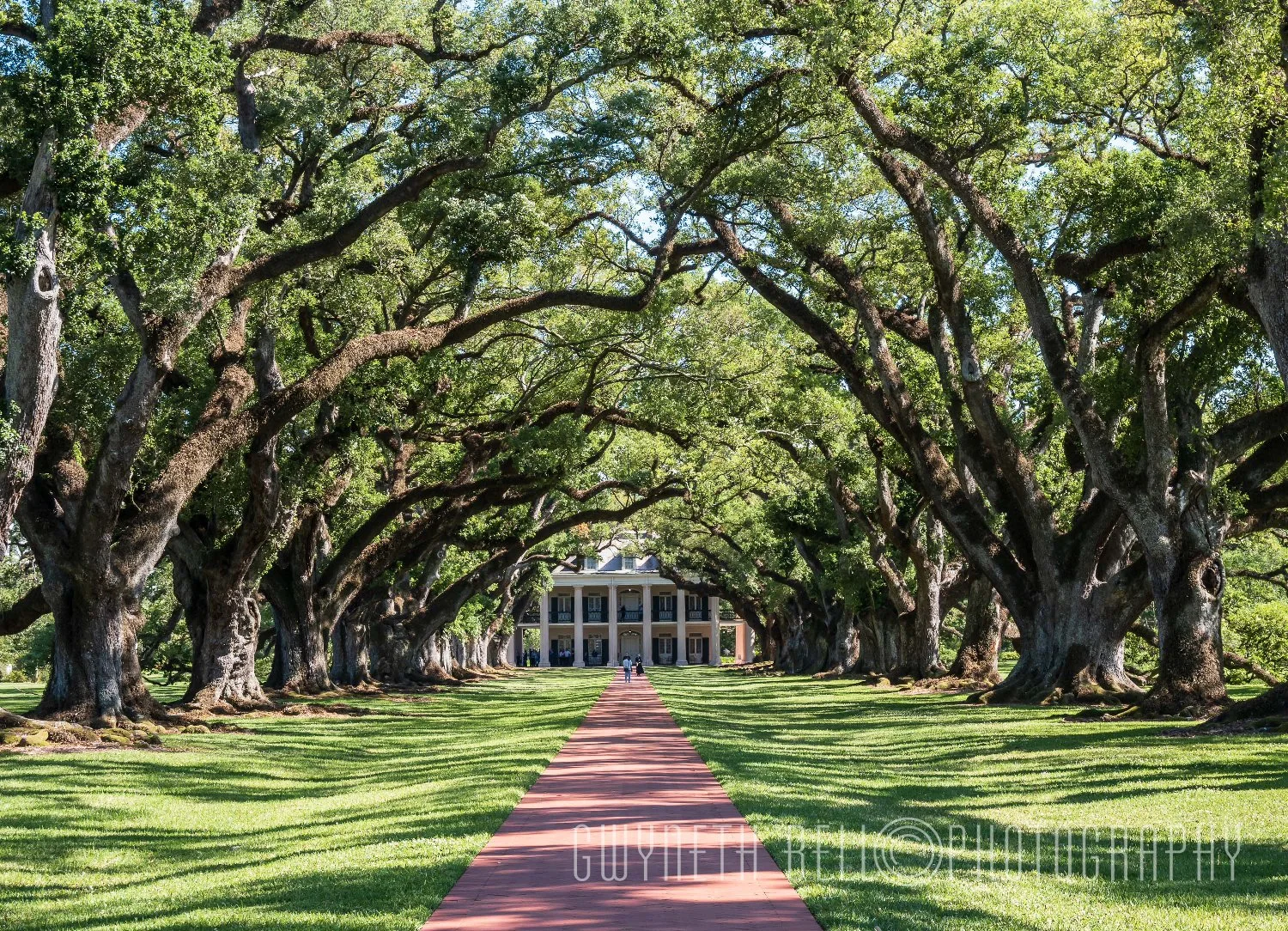 Oak Valley, Sugar Cane Plantation
