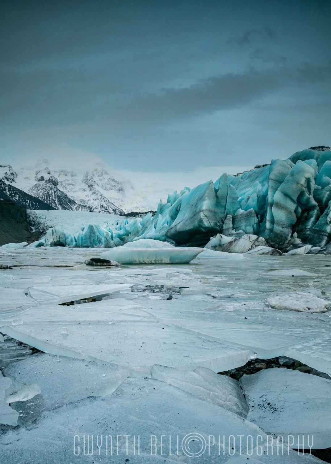 Frozen Landscape