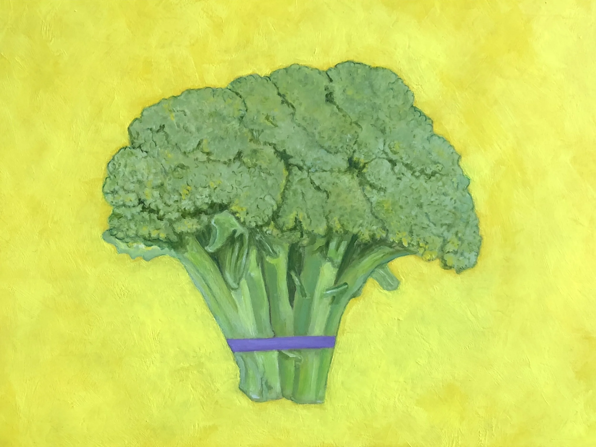 Broccoli, 11" x 14" x 2"