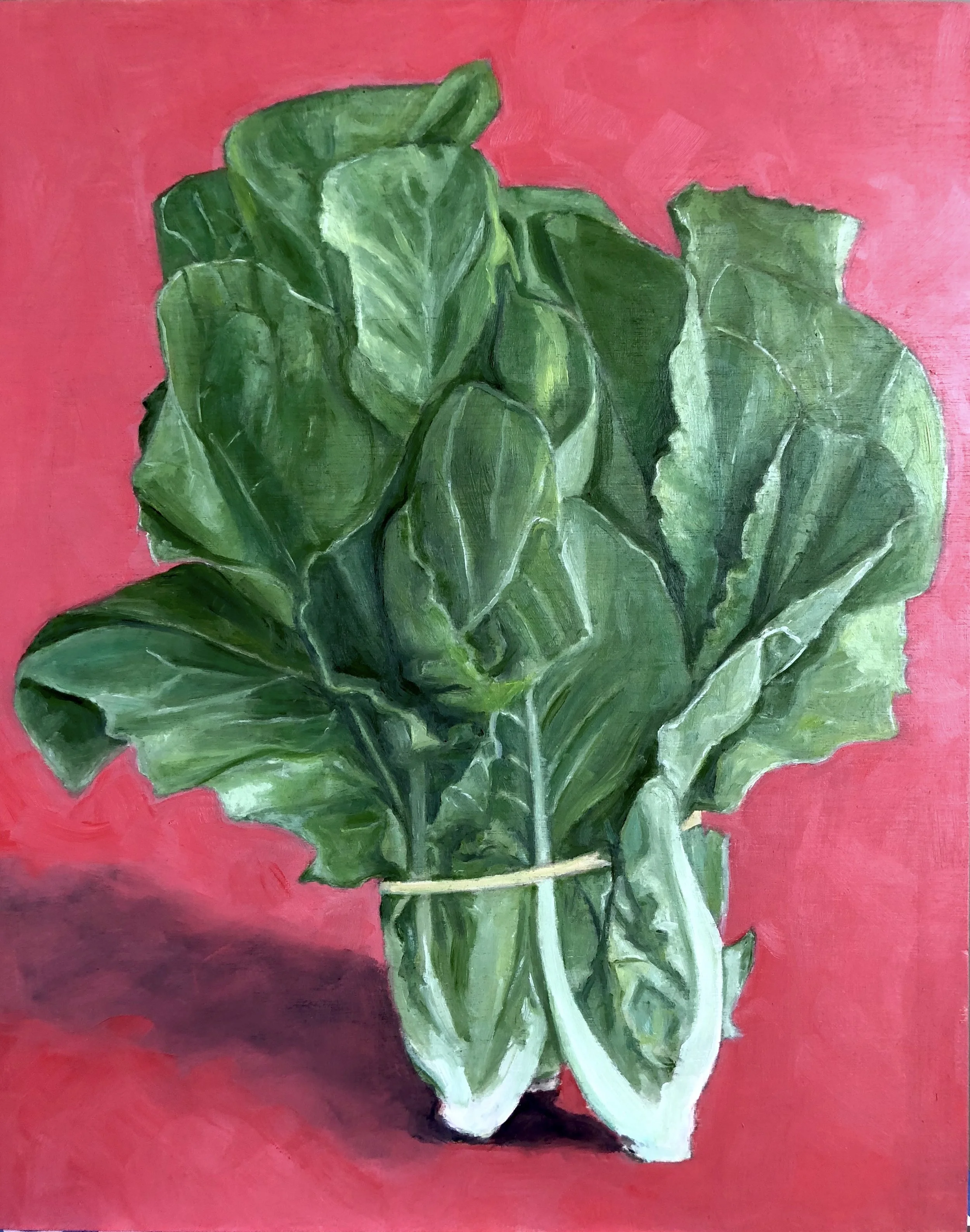 Romaine, 8" x 10" x 1"
