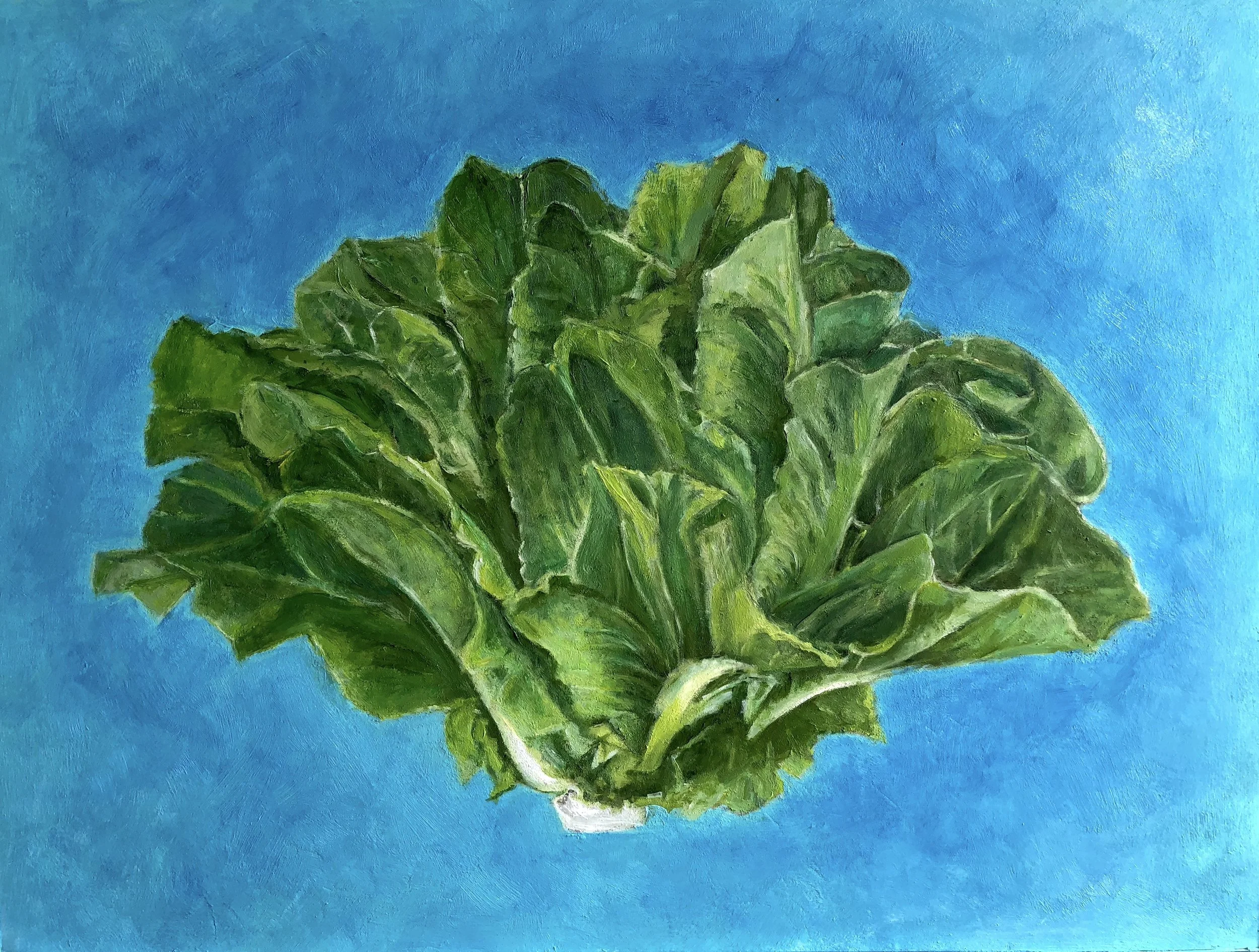Romaine, 9" x 12" x 1"