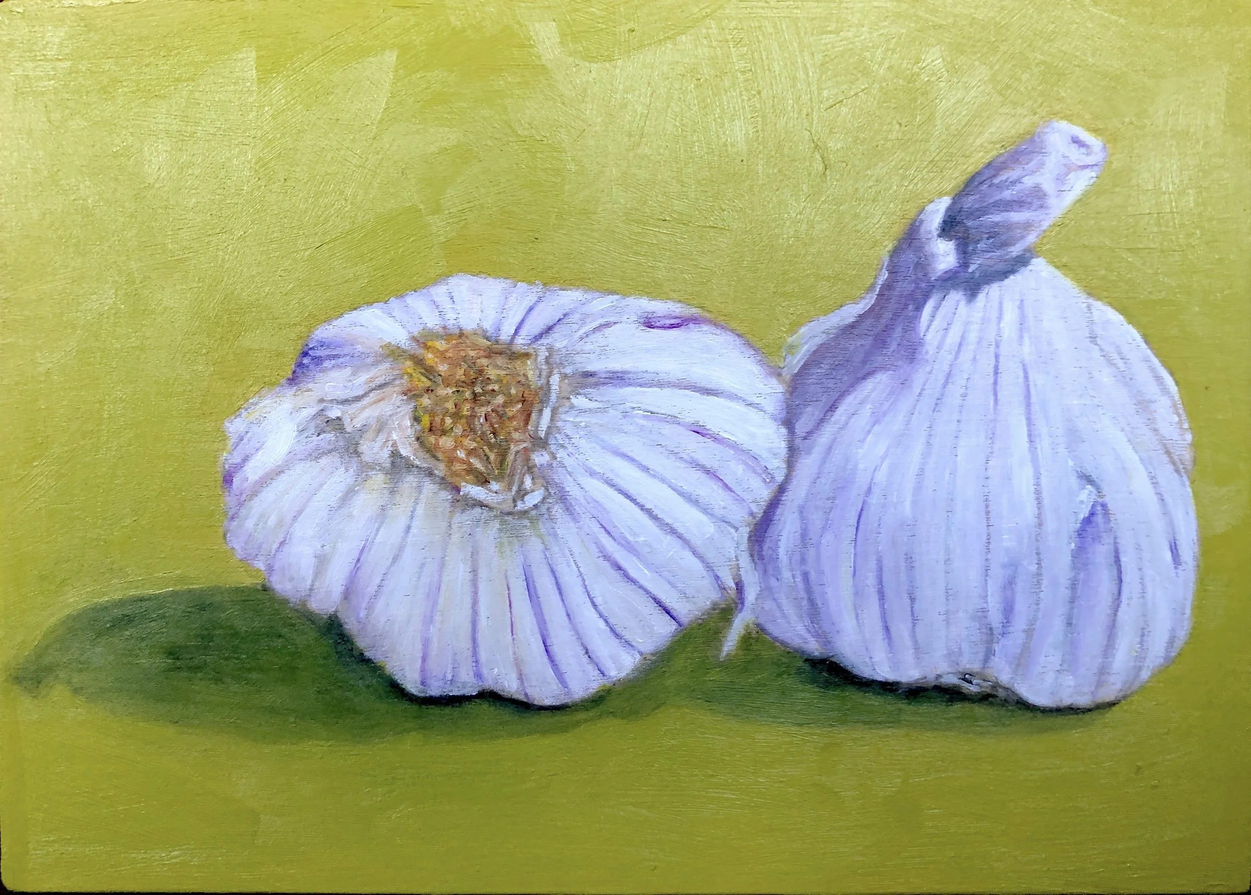 Garlic, 5" x  7" x 2"