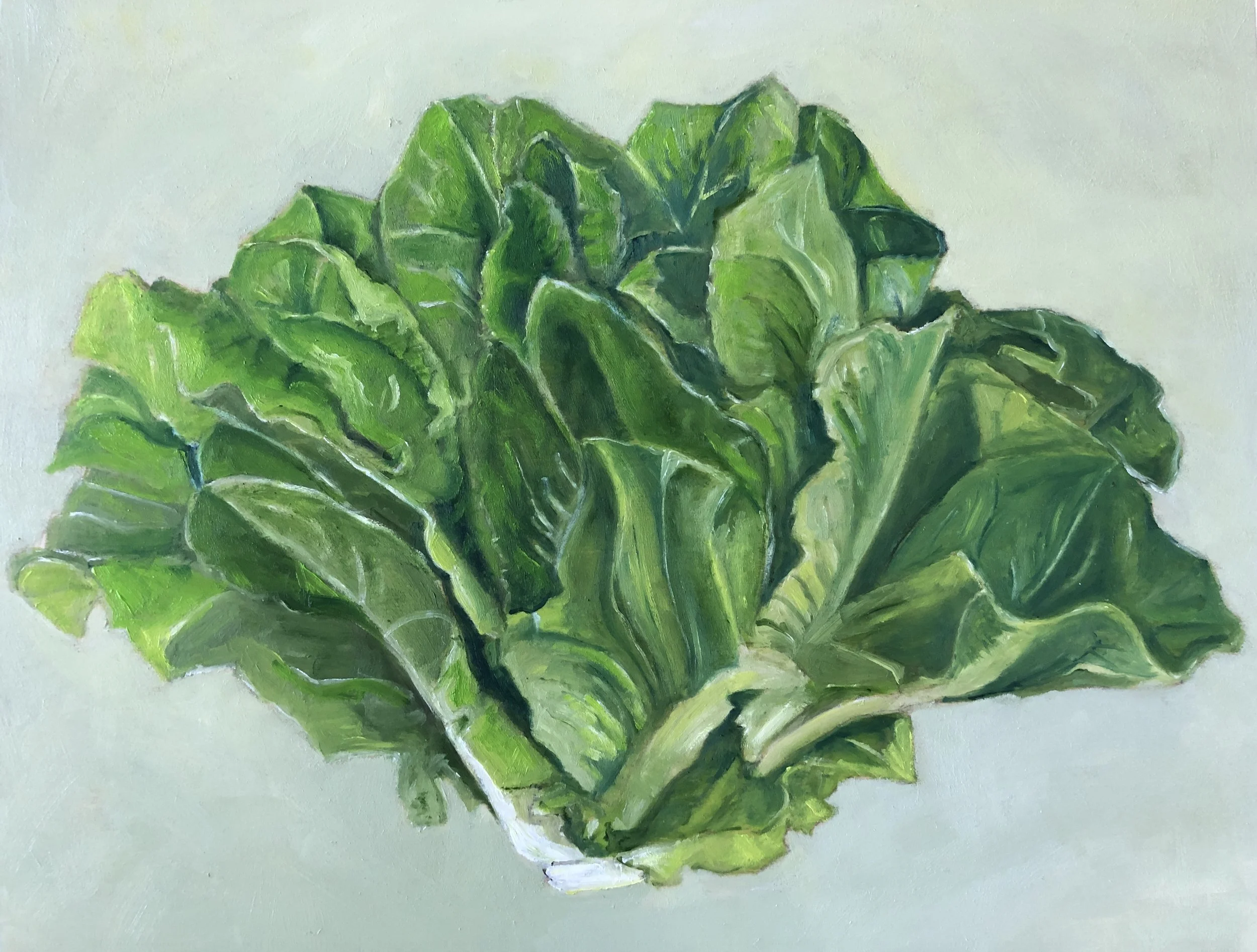 Romaine 8" x 10" x 2"