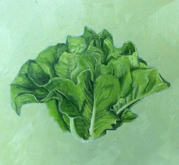 Lettuce 8" x  8" x  2"