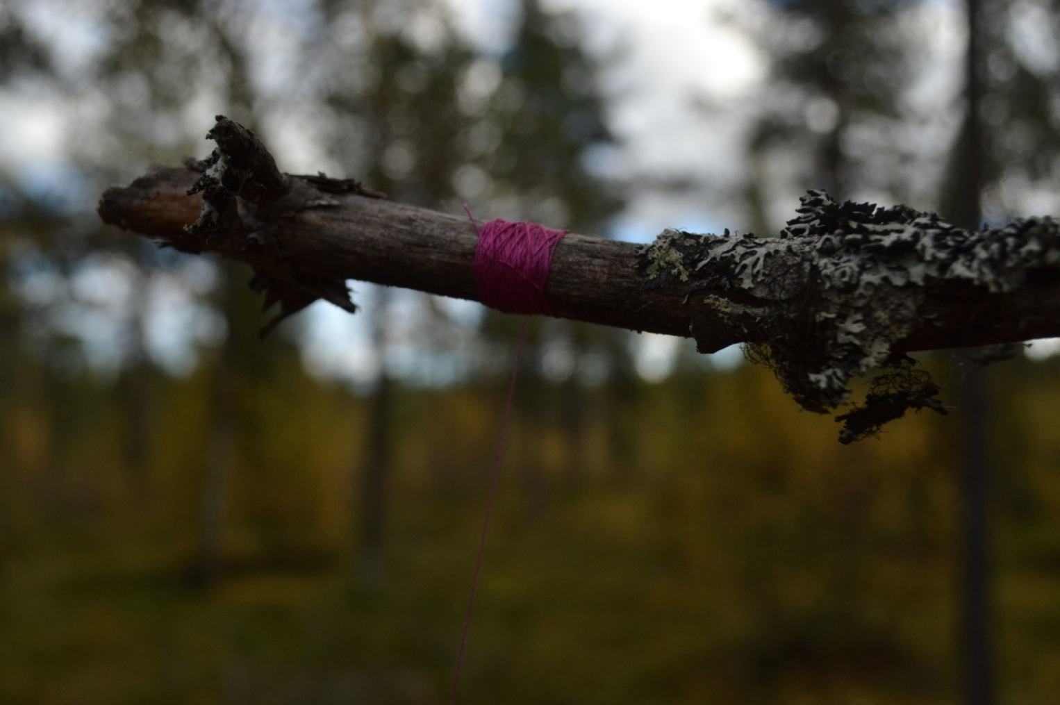 Environmental group work, completed with Constance Chambaud on the Fine Art excursion to Raattamma, Lapland, as organised by Michael Jacobs. 
