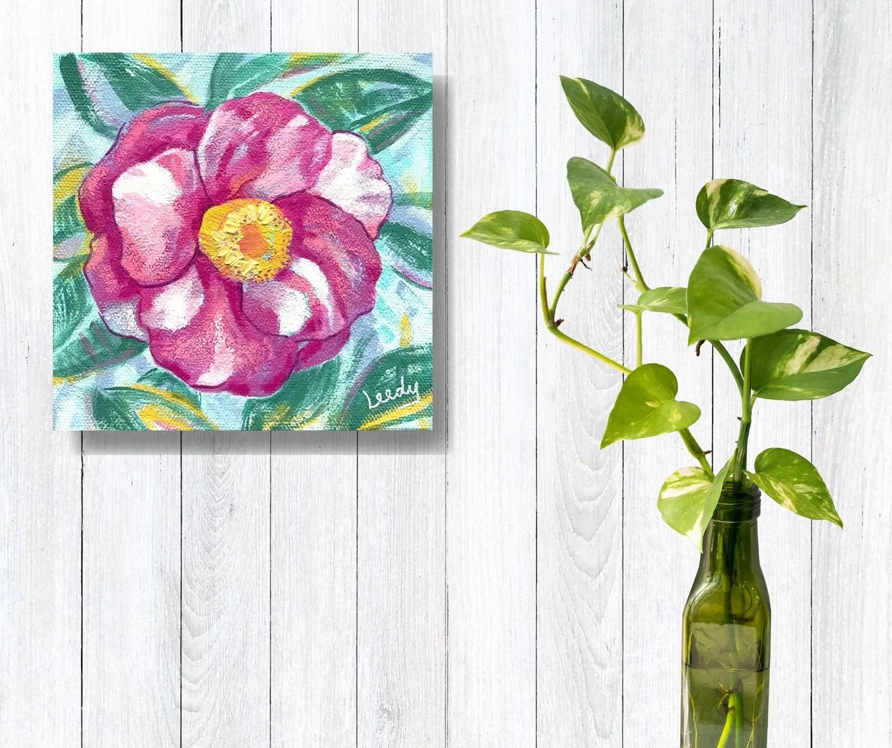 Candy Cane Camellia in situ.jpg