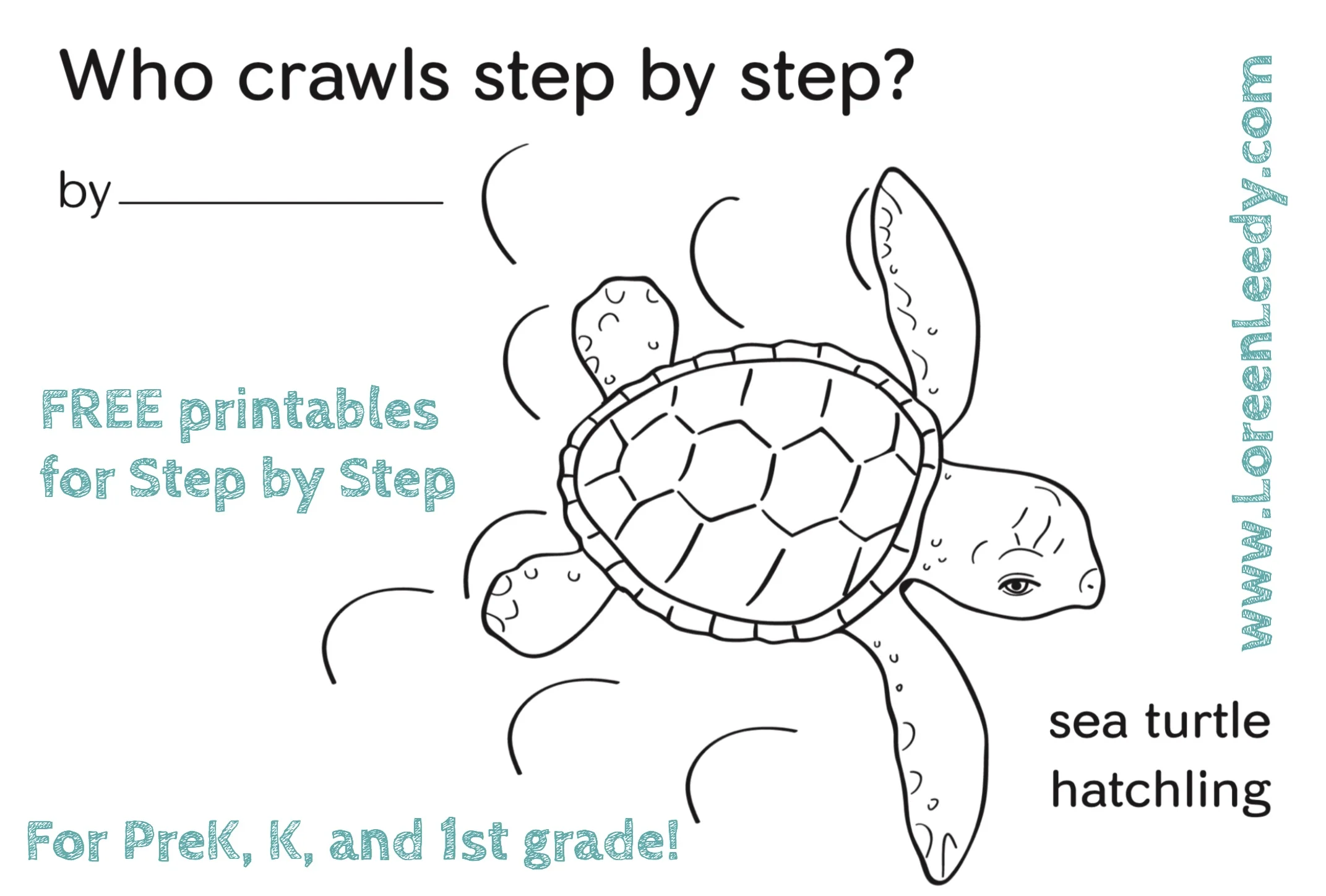 A baby sea turtle coloring page extension for the picture book Step by Step by Loreen Leedy