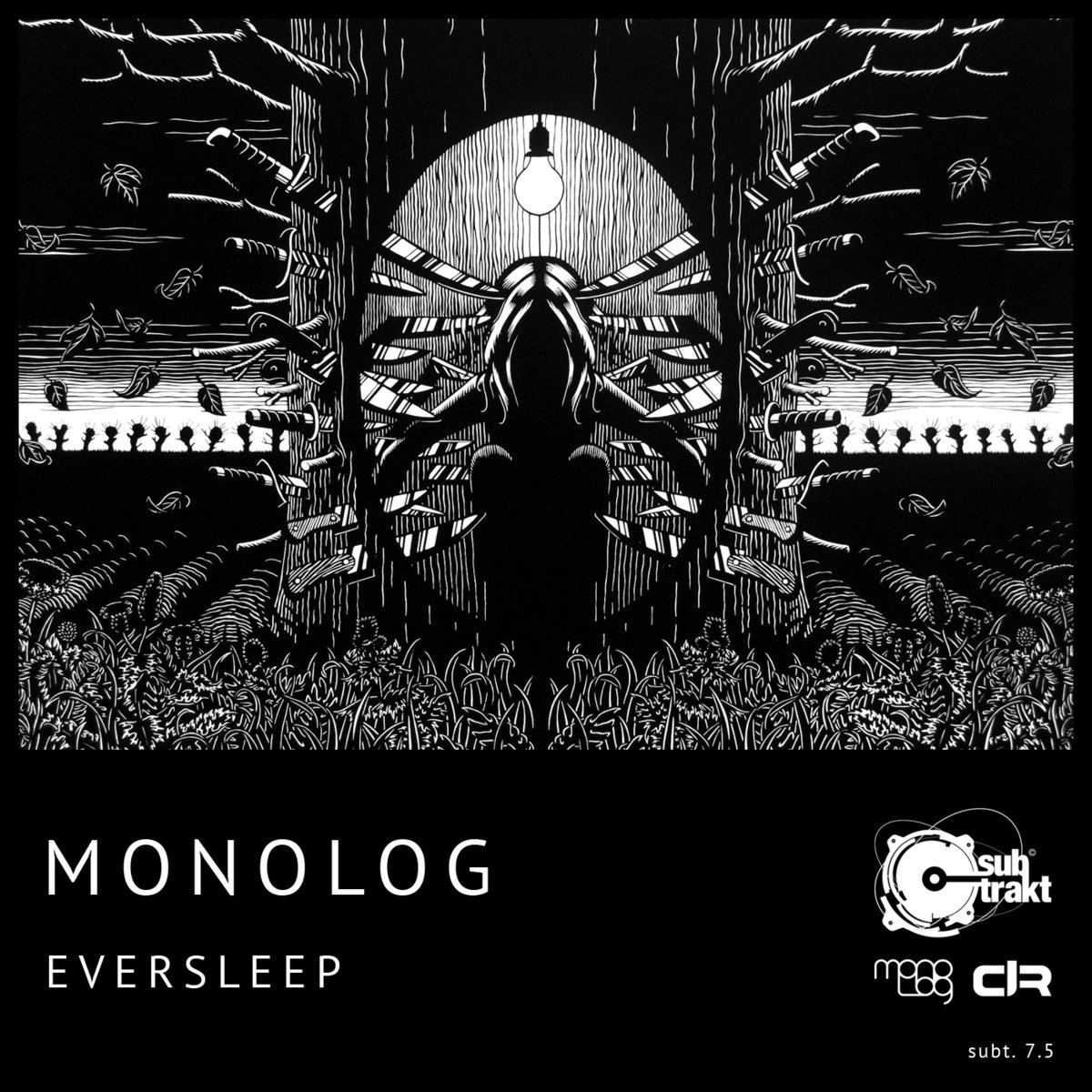 eversleep.jpg