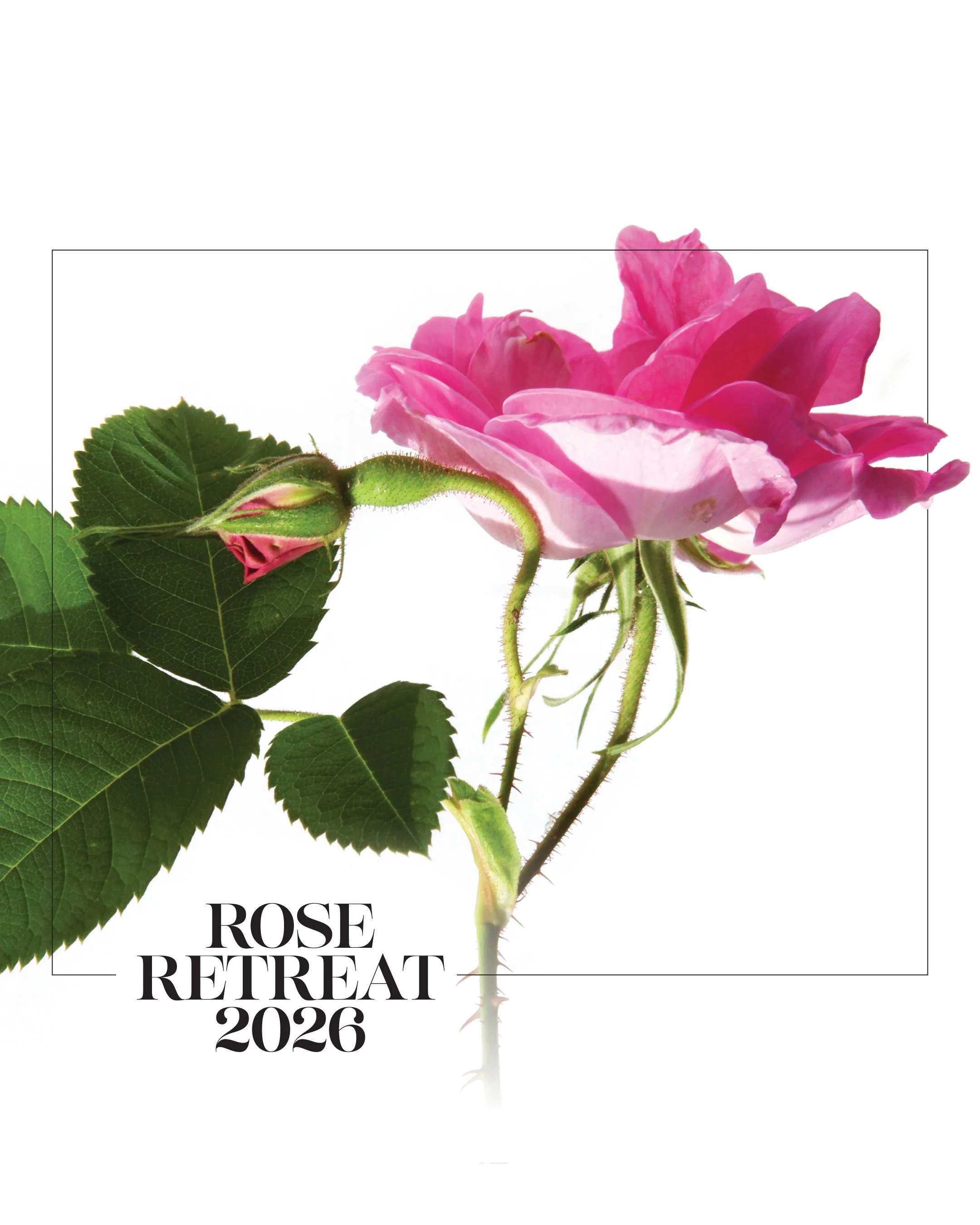 Rose Retreat 2026 DEPOSIT