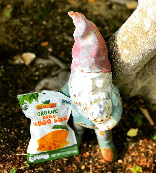 Have a gnome-tastic day! #naturesfinestnaturesyummiest 🌿
&bull;
&bull;
&bull;
#exercise #nutrition #wellness #cleaneating #active #weightloss #instahealth #strong #fitnessaddict #cardio #healthychoices #fitnessmodel #getfit #train #determination #he