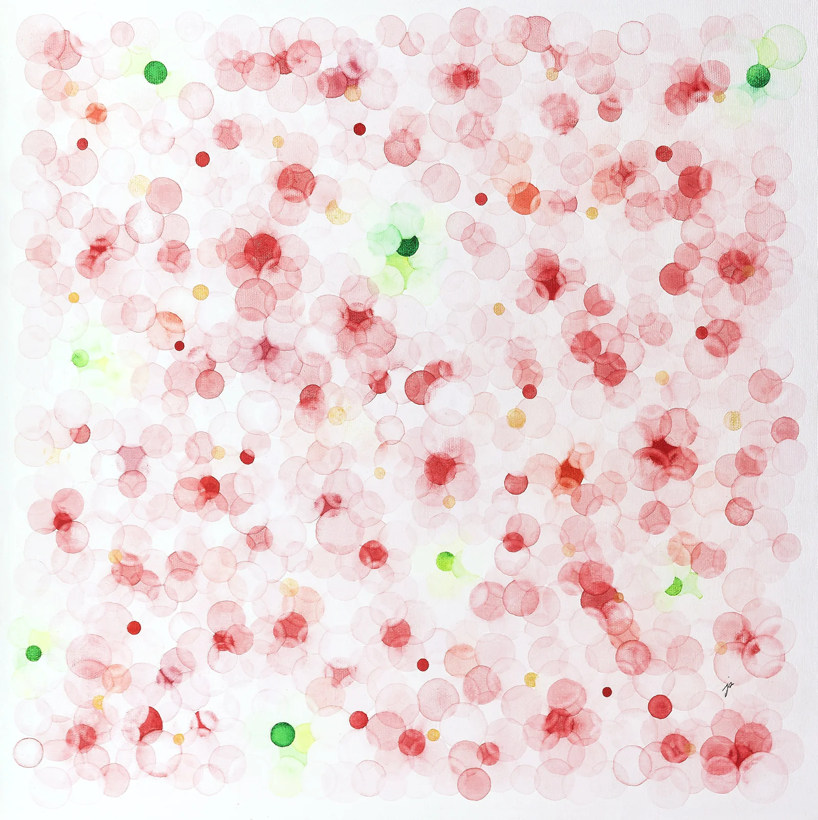 bubbles—ichigo, ichigo ichie Watercolour on canvas 41 cm x 41 cm, 16 x 16 inches