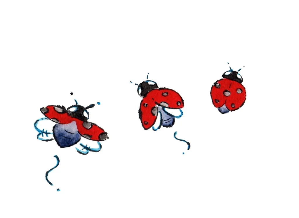 ladybugs.jpg