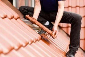 Roof.jpg