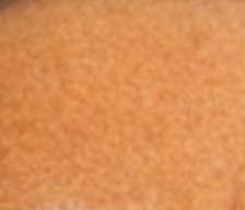 Screenshot 2026-04-20 at 9.29.15 AM.png