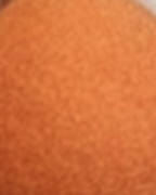 Screenshot 2026-04-20 at 9.29.23 AM.png