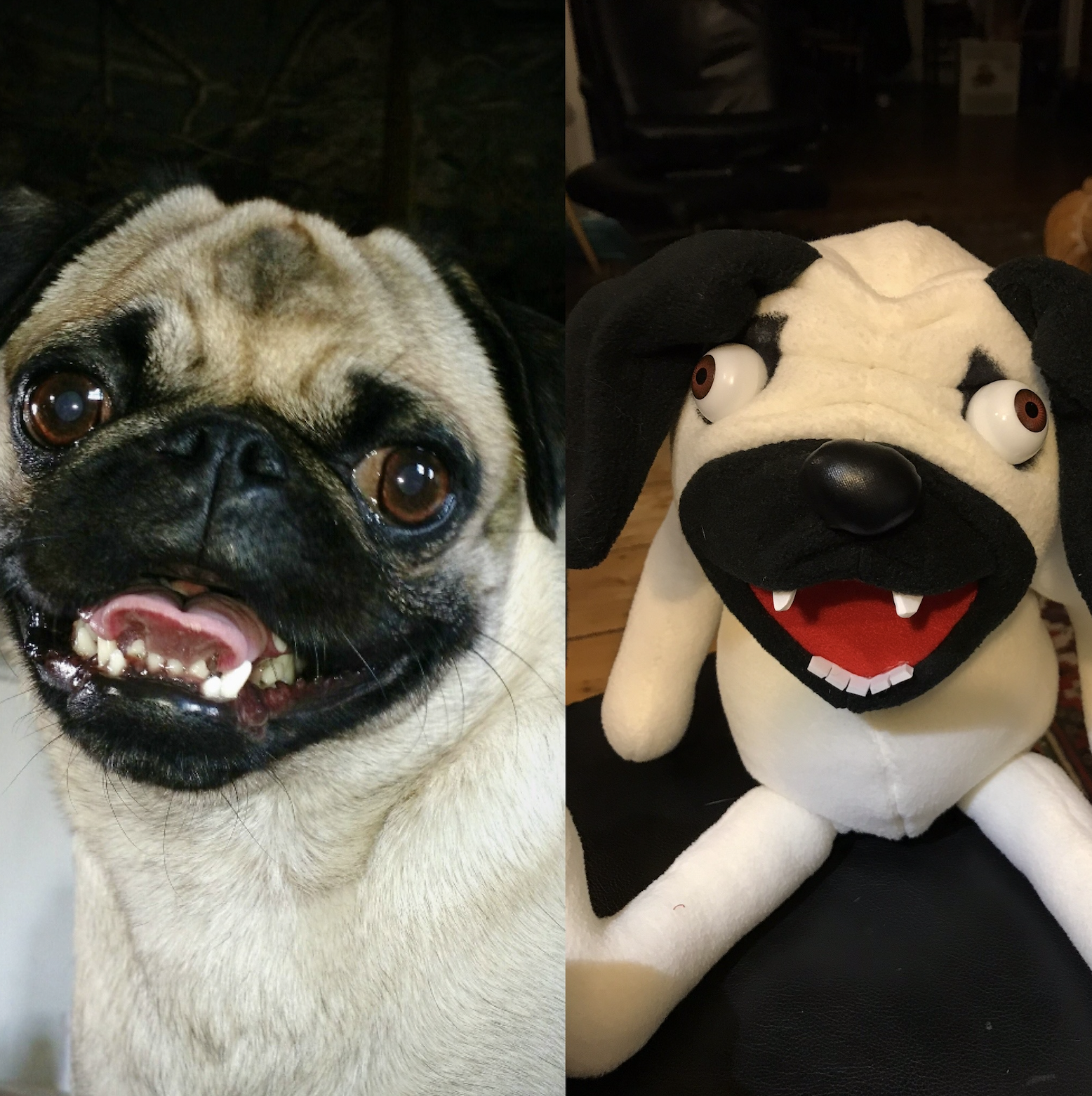 Look-Alike Dog & Cat Puppets