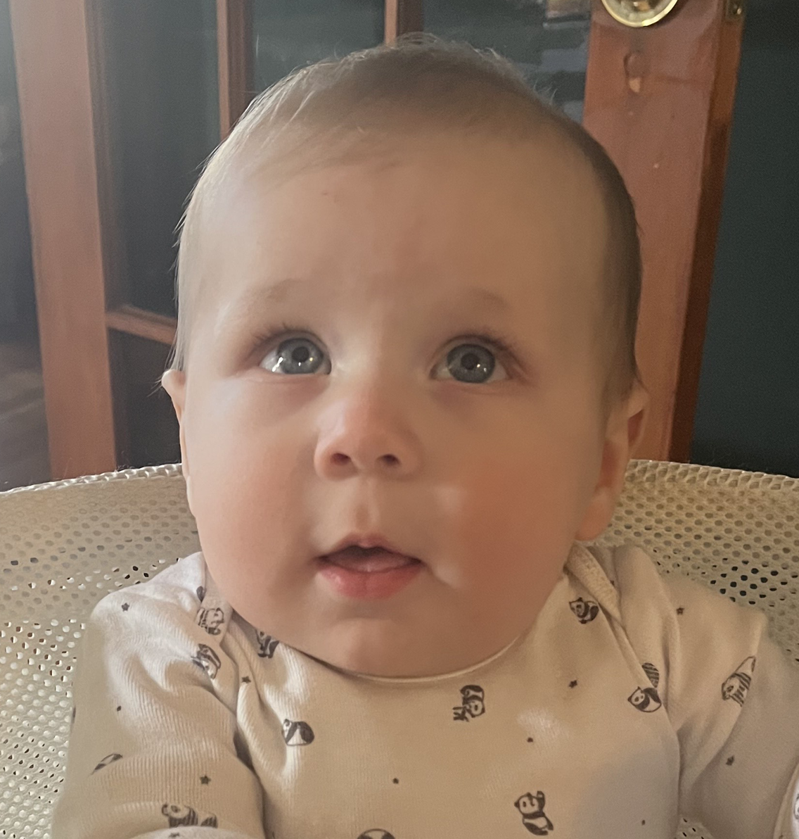 Screenshot 2025-11-06 at 5.57.11 PM.png