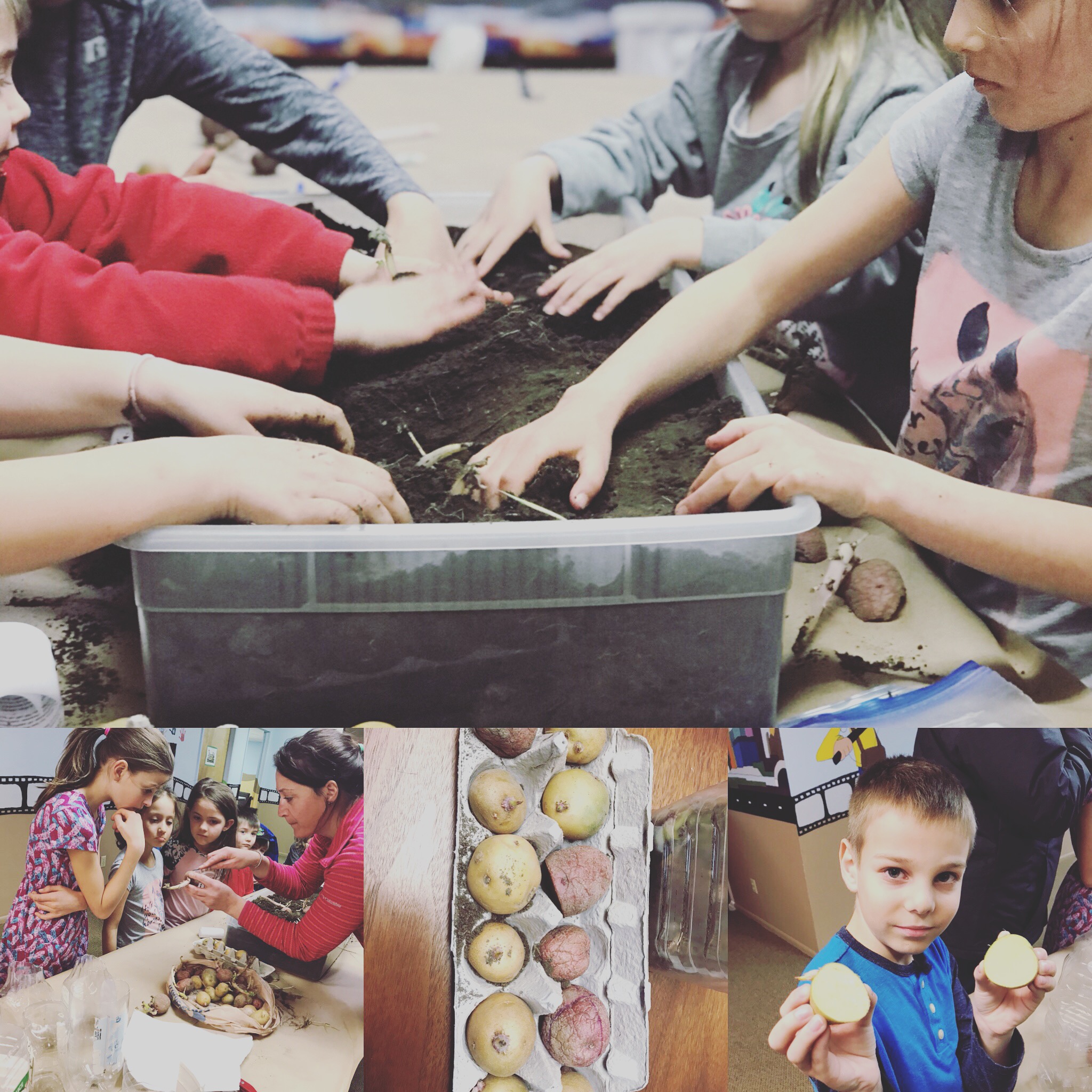 Growing Sustainable Children Gardening Block.jpeg