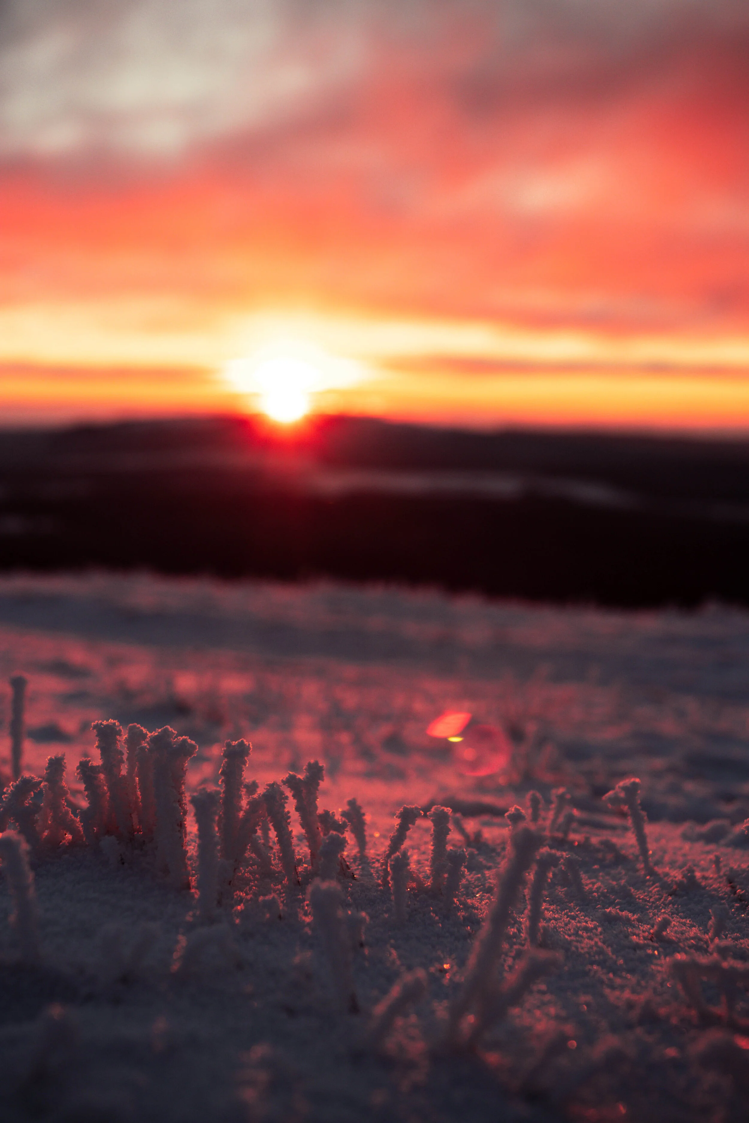 The Circle of the Year