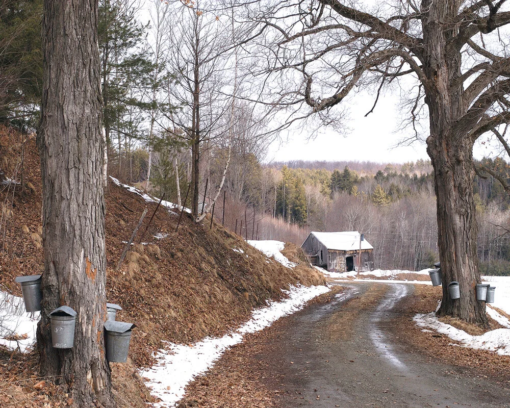 Behold this compost!