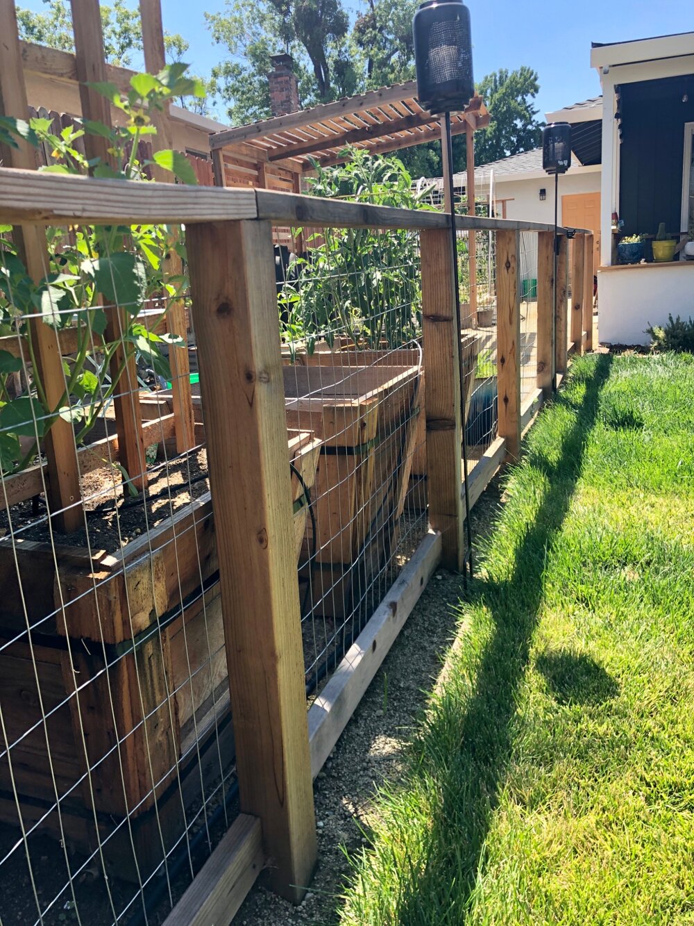 DIY Hog Wire Garden Fence for under $300 - Our Liberty House