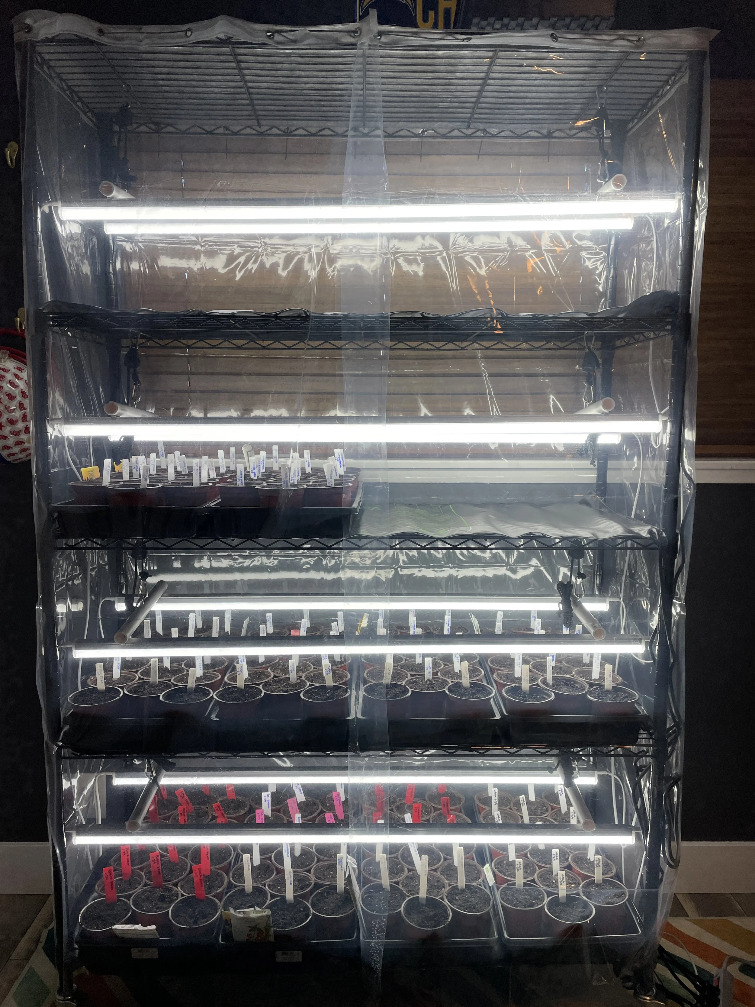 2023 Indoor Seed-Starting Set-Up Using a 5-Shelf Wire Rack - Our ...