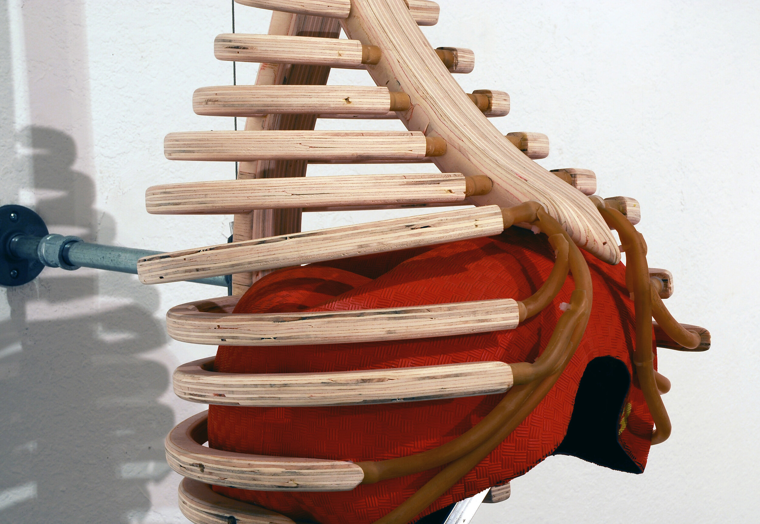(4) CentralTendonRespirationdetail.jpg