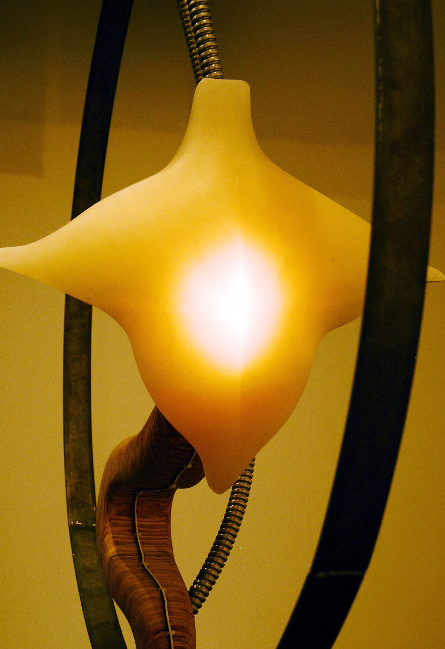 (6) Cadencedetail.jpg