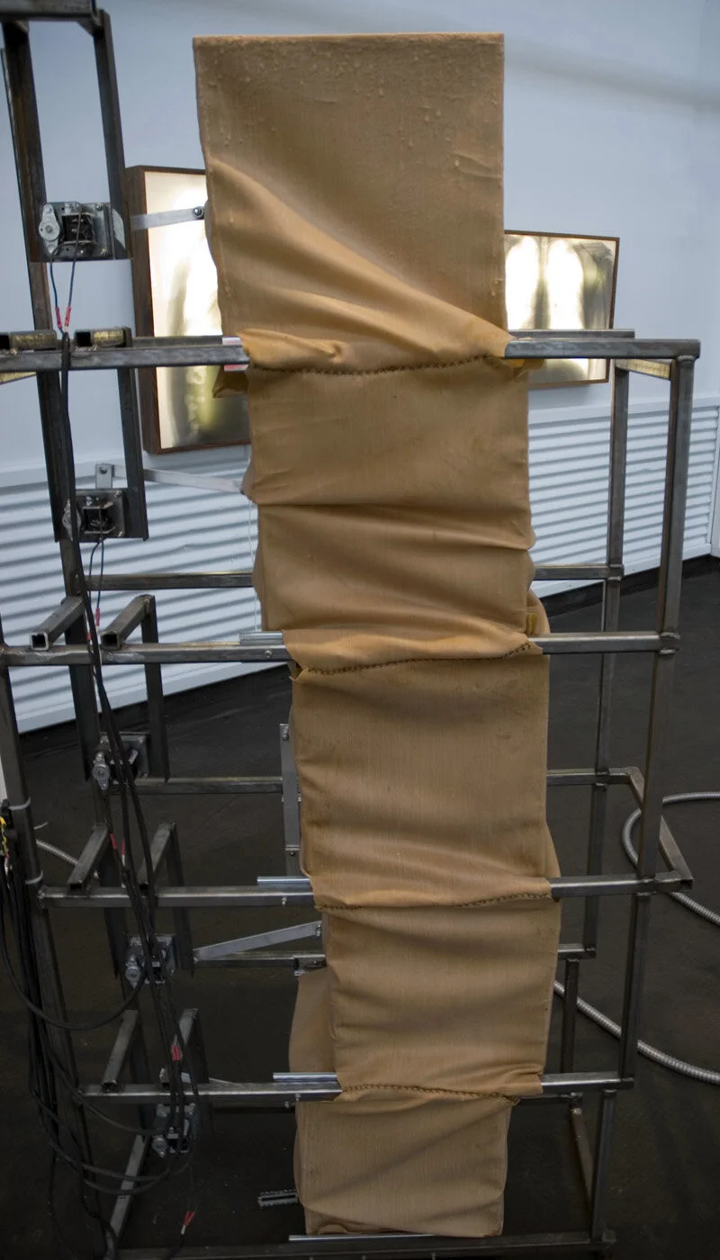 (7) Palpation.jpg