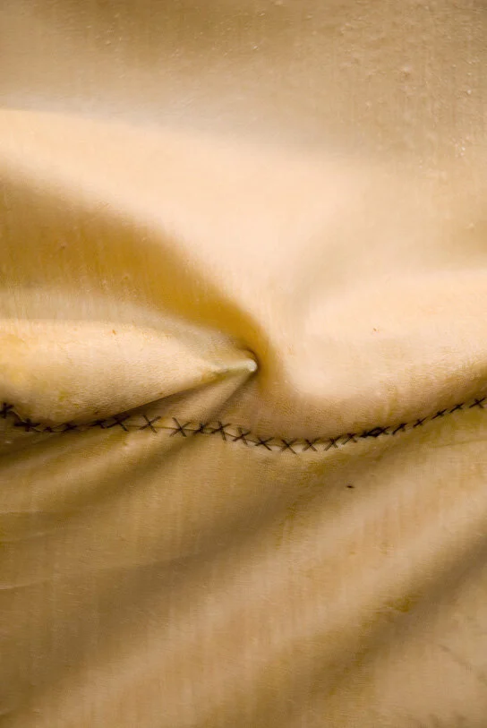 (8) Palpationdetail.jpg