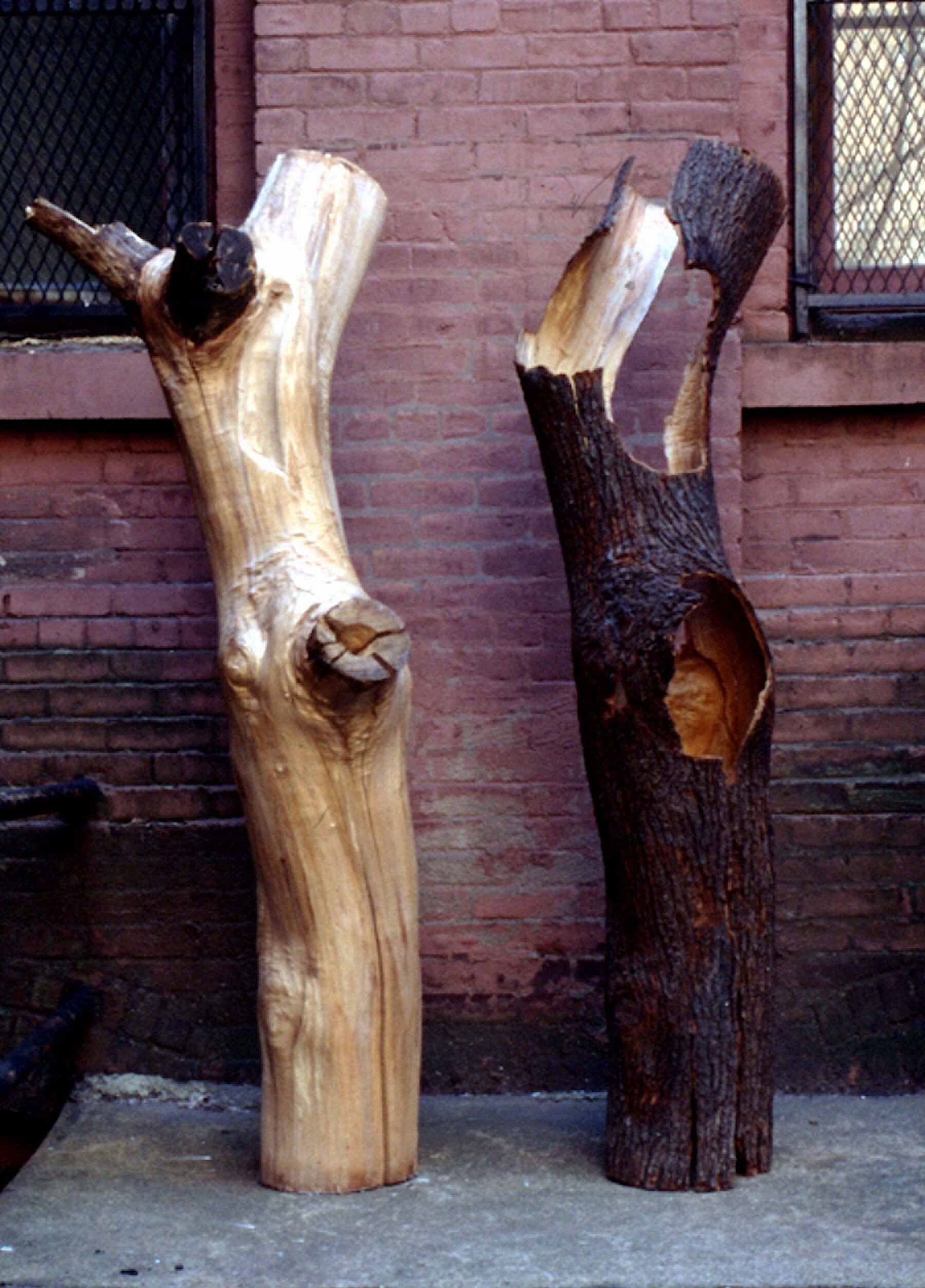 Body&Flesh.jpg