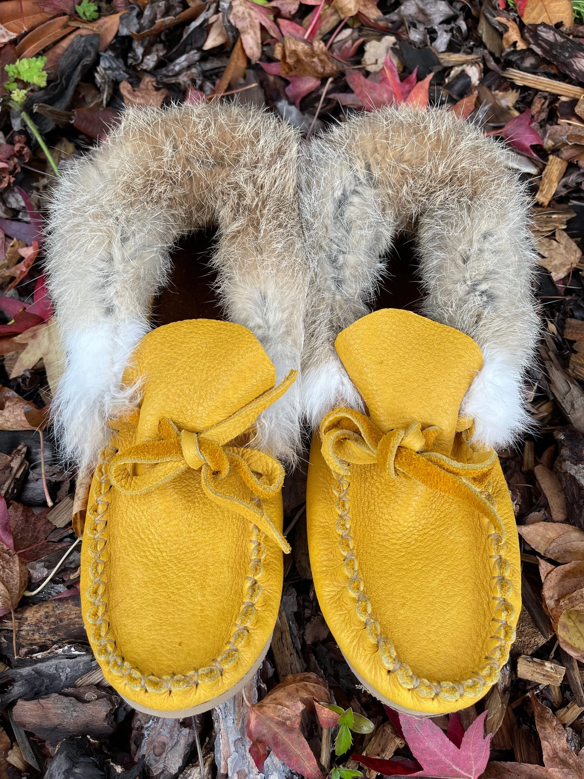 BA656EFD-A446-412F-902F-541E1D4C9C29