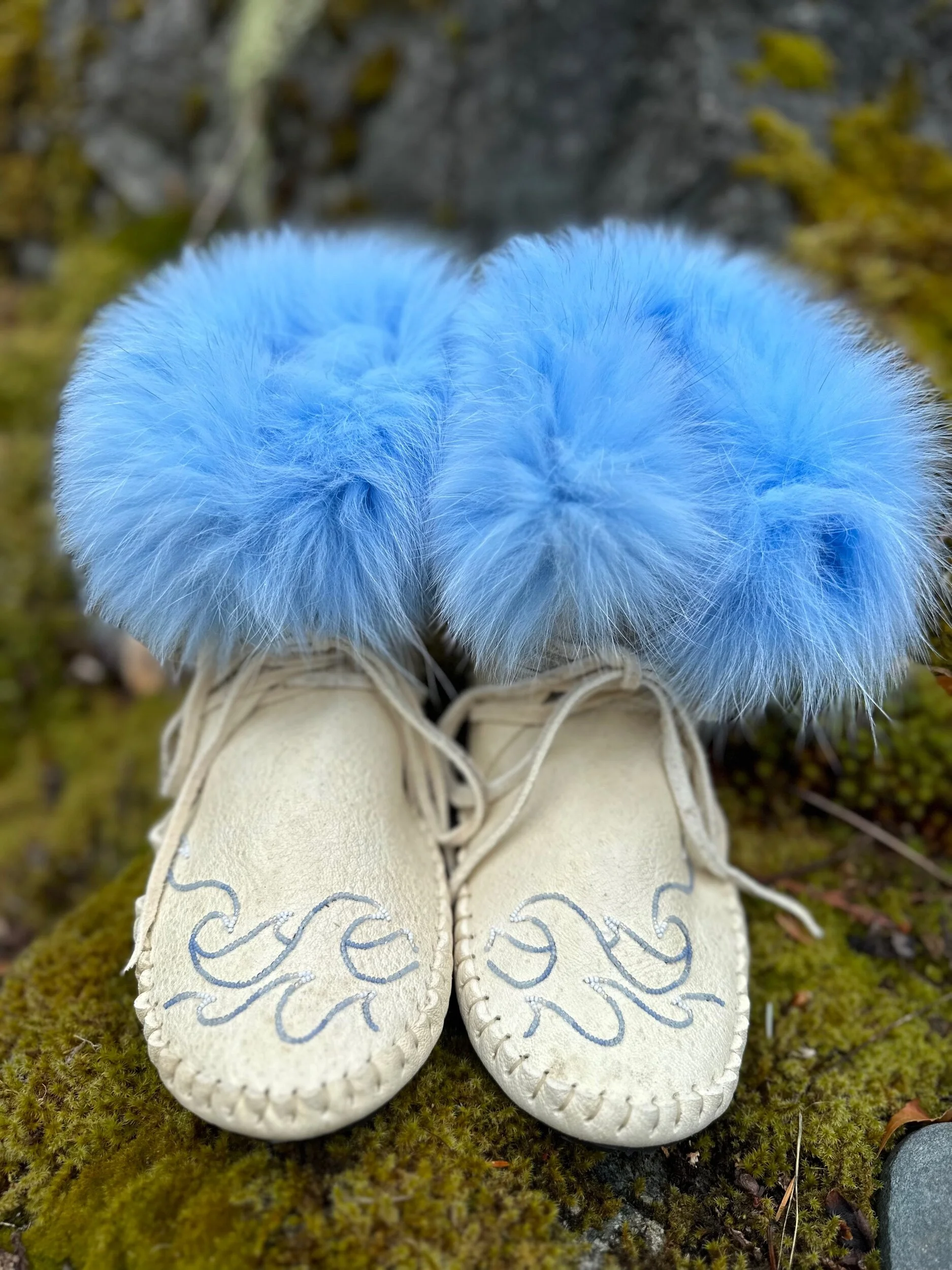 BEF52C36-2B6D-46EB-88C0-E08D082E8589