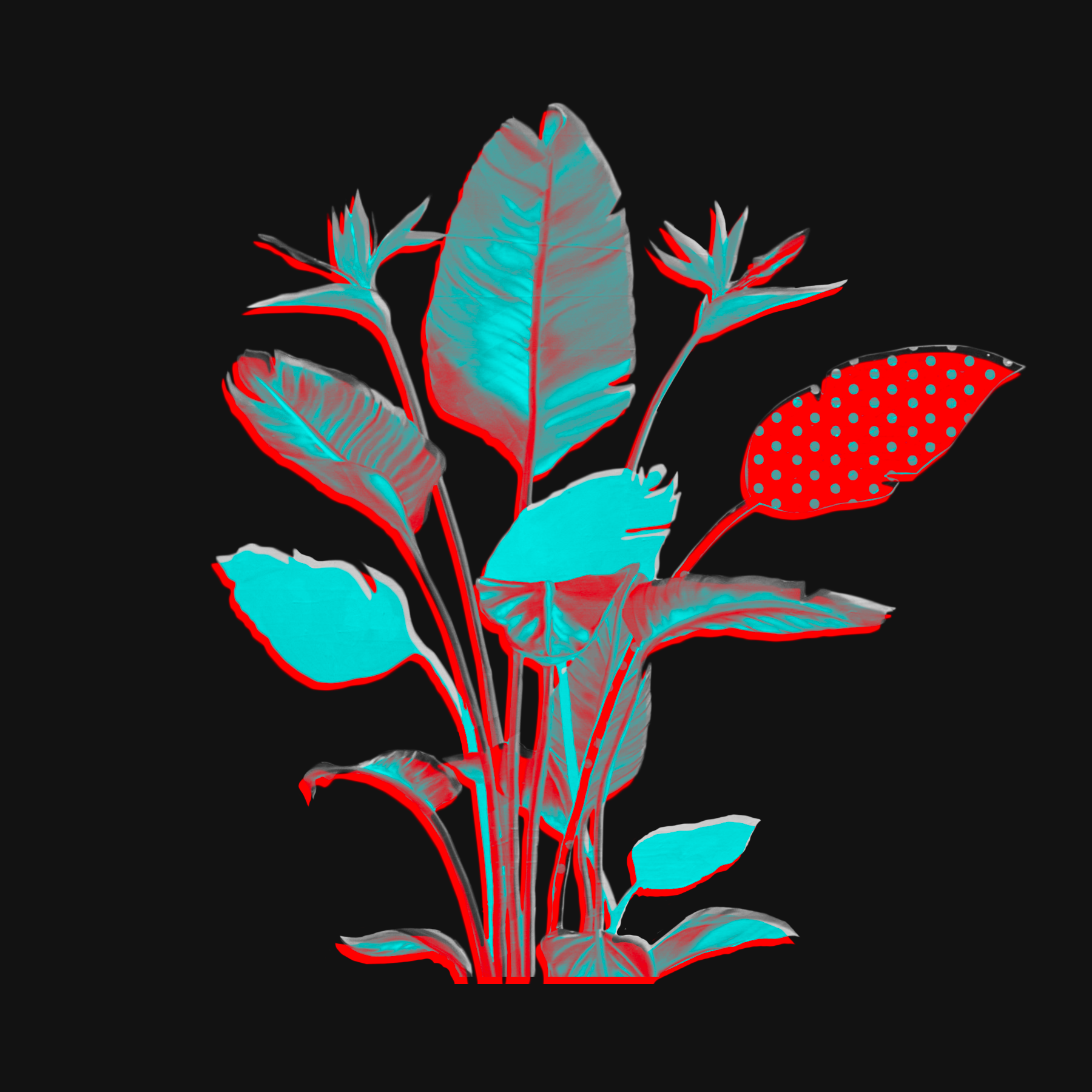 IMG_9592.png