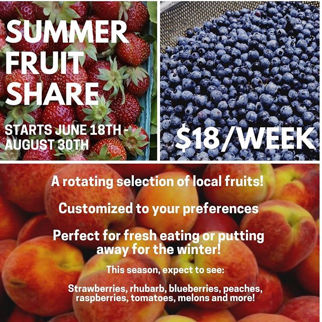Want more local fruit in your life? We can help you with that! Sourced from local farms such as @mainegrownpeaches and @afterthefallfarm with sustainable growing practices, this share is great for folks who love eating fresh fruit, or who want to can