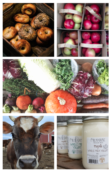 Screen Shot 2021-02-19 at 6.18.45 PM.png