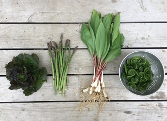 Spring has Sprung! 🌱 

Slide 1. Keep your eyes peeled! First spring treats popping and will be available to Daybreak Farmbox customers for ordering this week / delivery next week. Early 🐦 gets the 🐛! 
Slide 2. Rhubarb unfurling, will be here in fo