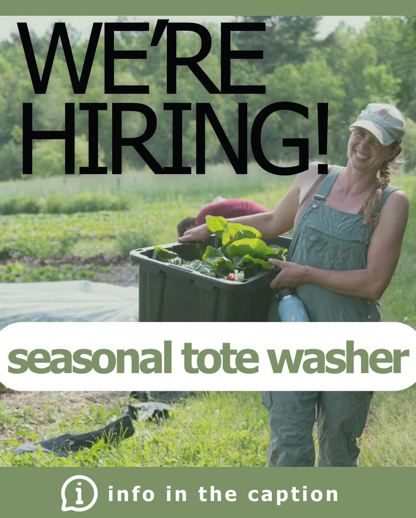 We are looking for help 4hrs/week with tote washing now to end of October! Please help us spread the word. 

💵Compensation: $18/hr cash. &nbsp;
Qualifications:
📍Report to our location in Unity
🌟Positive can-do attitude
⏰Reliably and consistently a