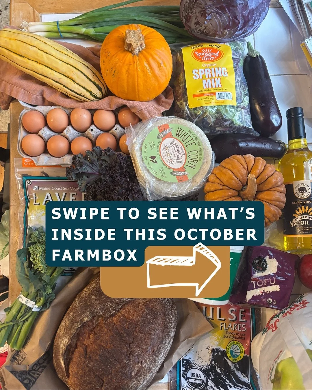 Okay, October&hellip; you&rsquo;ve been giving us some nearly-perfect sunshine, so how about a little (or a LOT of) rain?? Despite serious challenges in this year&rsquo;s growing season with a wet wet spring and extreme droughts across the state, we&
