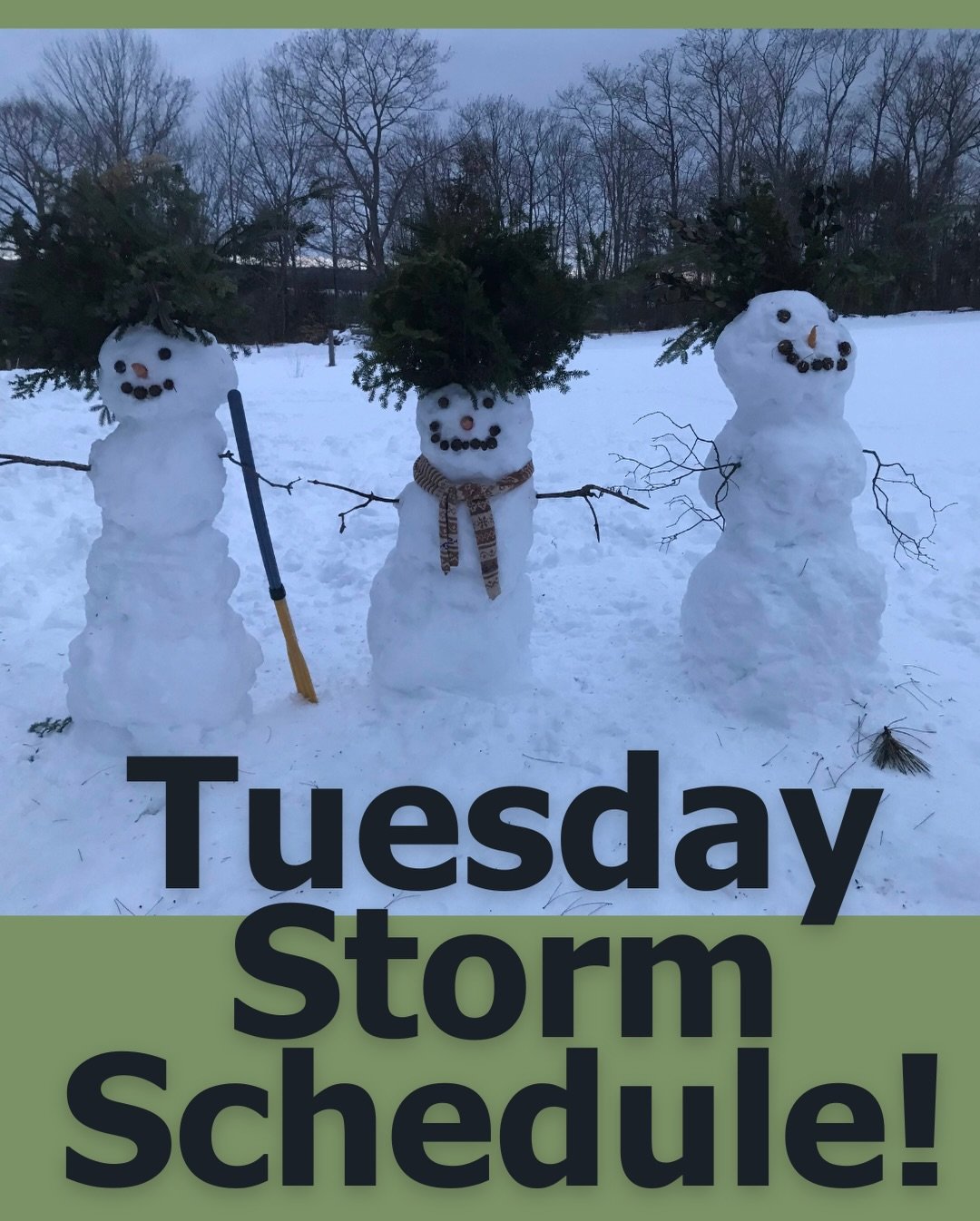 ‼️SNOW STORM COMING‼️TUESDAY DELIVERY UPDATE‼️ To keep everyone as safe as possible, all Tuesday deliveries are being rerouted as follows:
📍Albion and Unity: Pick up at Unity Food Hub (69 School Street, Unity) on Wednesday starting at 1pm. Find your