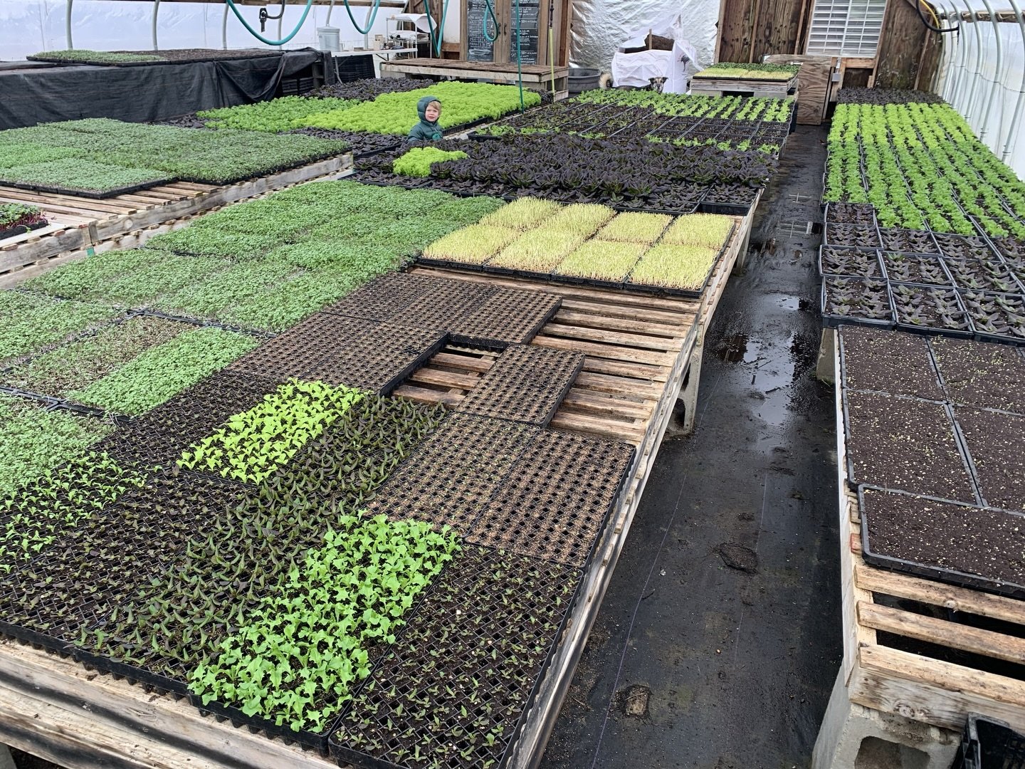 Did you catch our February newsletter? It dropped into inboxes last Thursday, and is not to be missed! Thanks to @ironwoodorganic for sharing some behind-the-scenes photos of what they&rsquo;ve been up to this winter 🌱 

We&rsquo;re so grateful for 