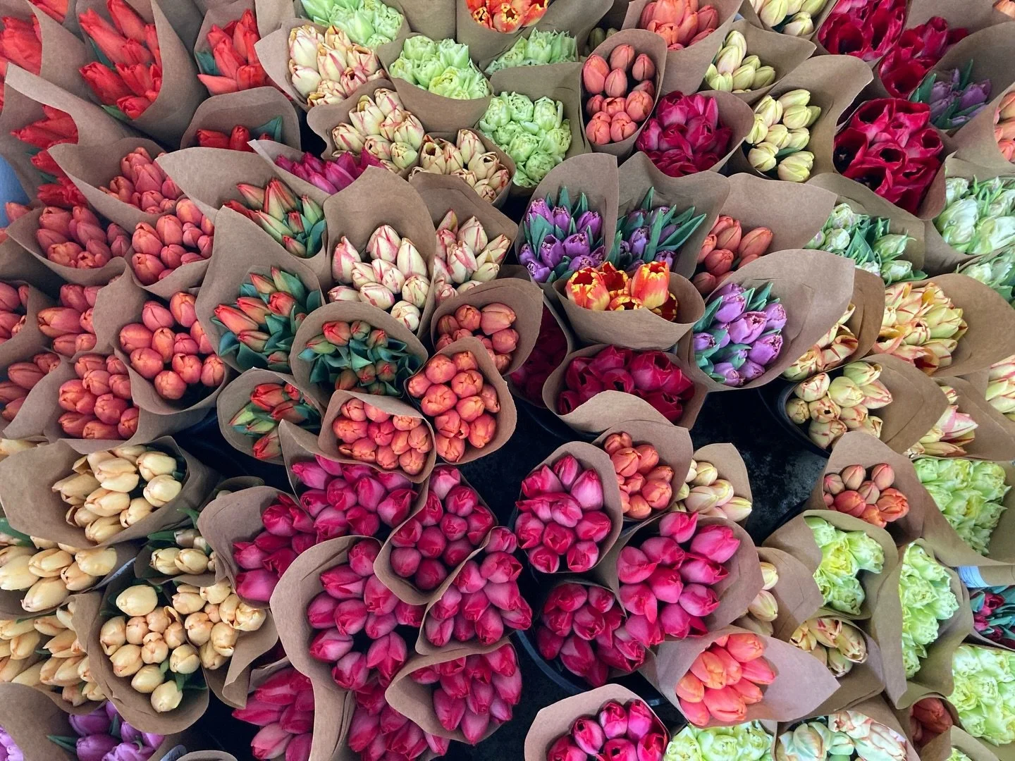💐 Tulip bouquets from @seek.no.further_ are available! 💐Something about a fresh bunch of bright blooms in the middle of winter feels just so grounding and good. Treat yourself - a loved one - or get a bouquet to brighten up your home and remind you