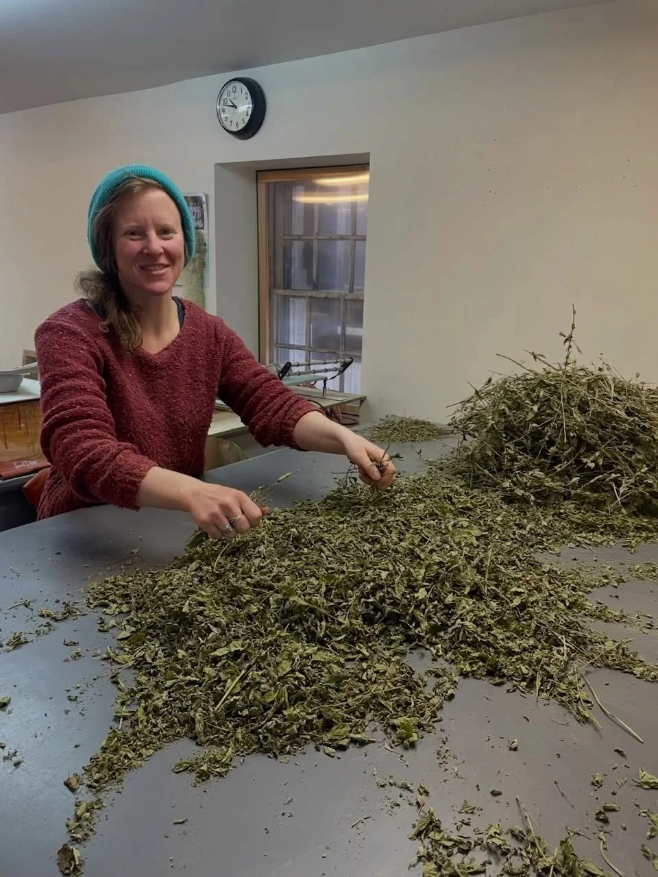 Zoe and her team at @luna.moth.herbs may have quieter days in the winter, but seeing her herbs and plants through to the final stages of drying and packaging keeps them busy. This time of year, they hand-garble last season&rsquo;s herbs - this is a l
