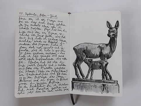 20180928_081303.jpg