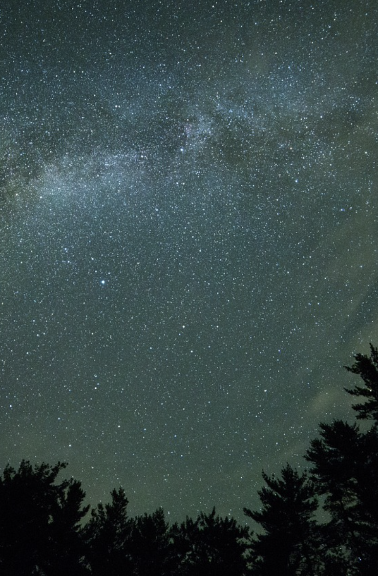 Stars