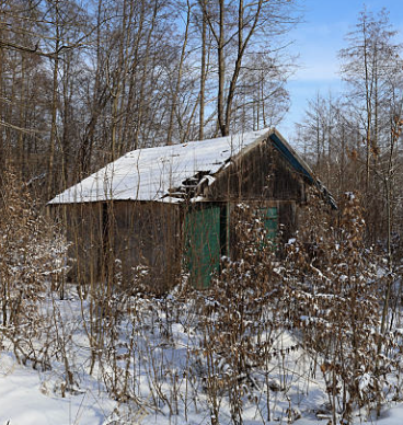 Shed