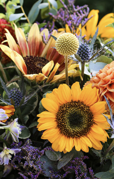 Bouquet