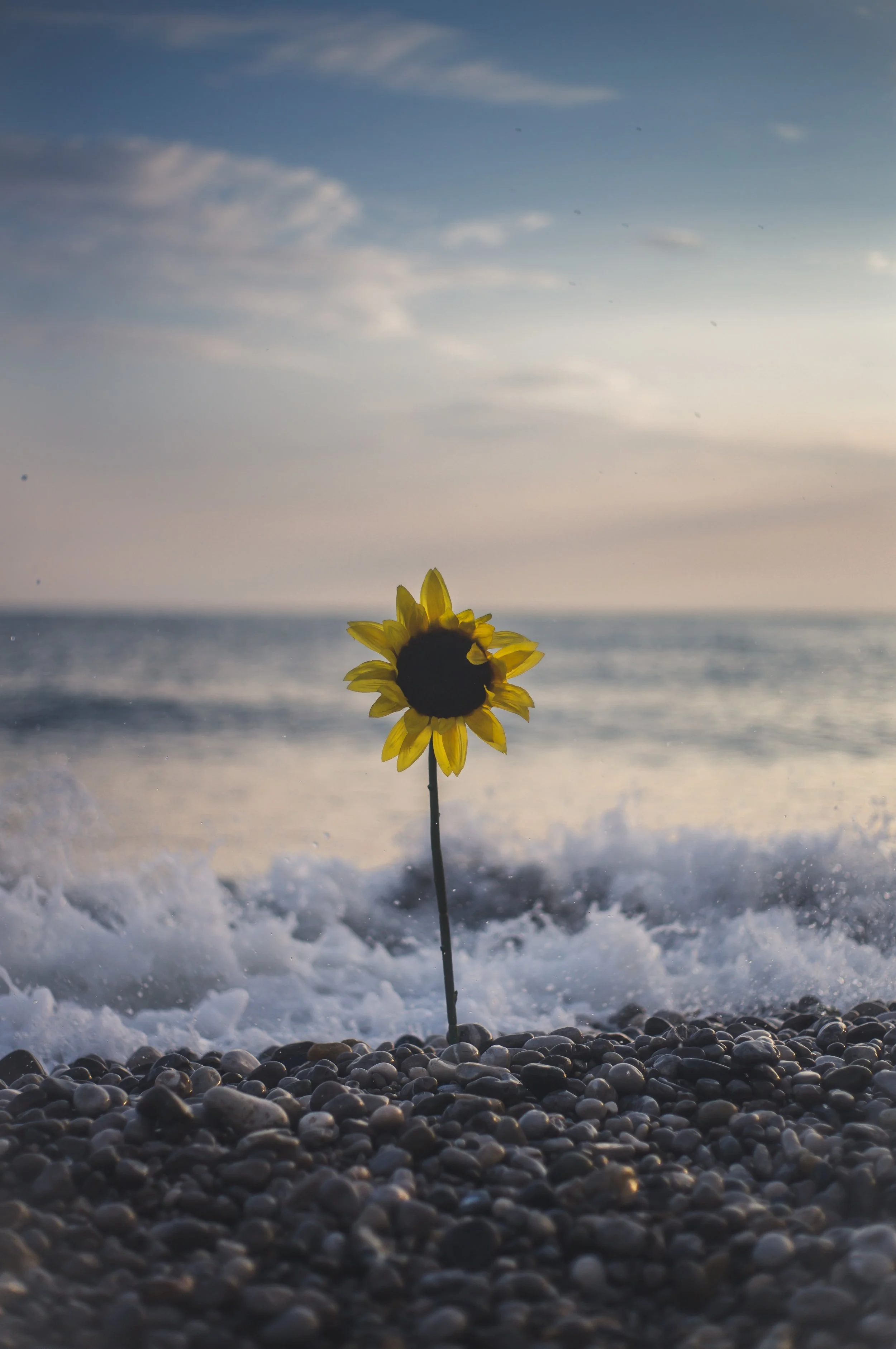 5 Myths about Borderline Personality Disorder